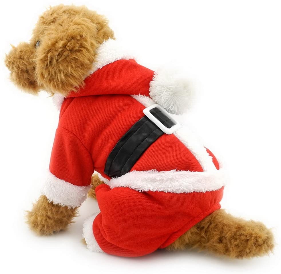Voici les plus beaux pulls de Noël pour ton chien et ton chat • Fun Radio